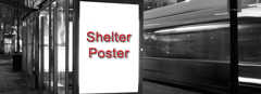 Shelter Poster